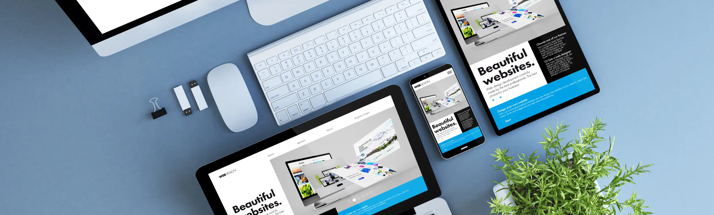 phases of web design